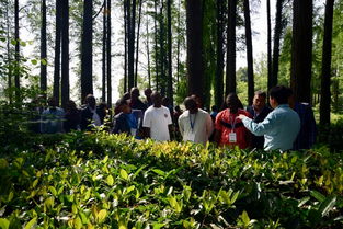 中非合作新篇章 青年科技人員共推生態環保與中草藥科技發展